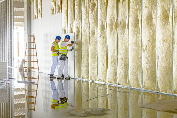 Best Residential Insulation in Demarest, NJ